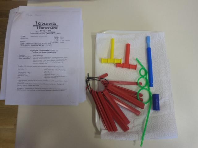 Paraolimpijski školski dan u Sv. Ivanu Zelini