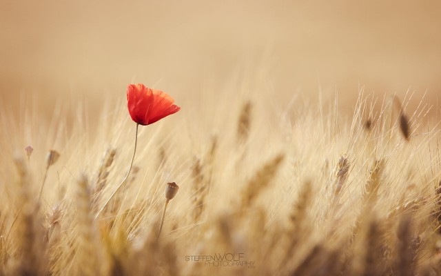 Početak rada poludnevnog boravka Klub Srce nakon ljetne stanke
