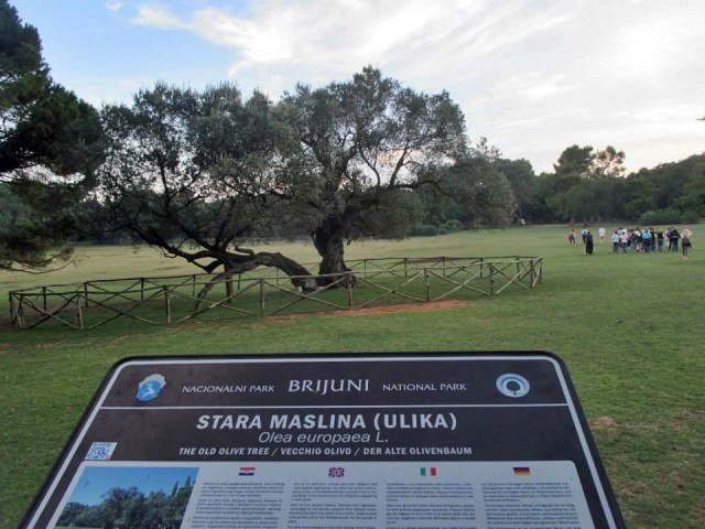 Udruga Srce na izletu u NP Brijuni