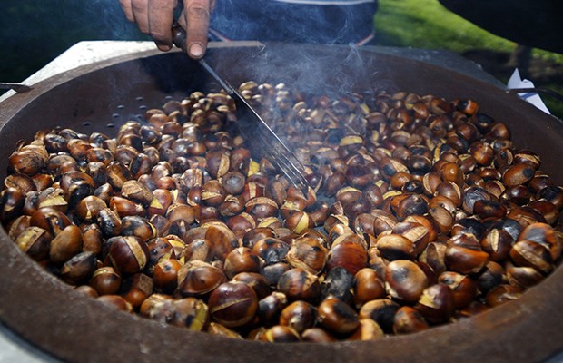 Na Zelinskoj kestenijadi i Udruga Srce