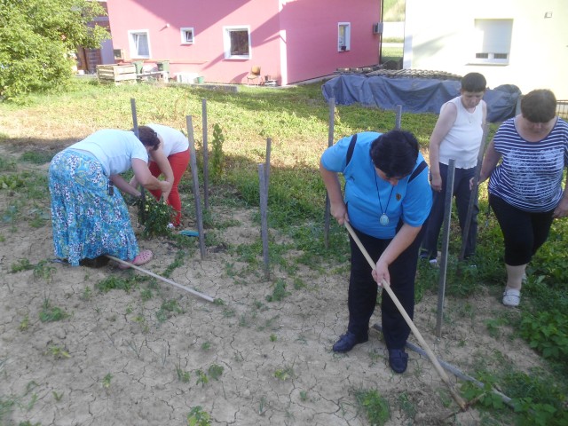 Članovi Kluba Srce uređuju vrt