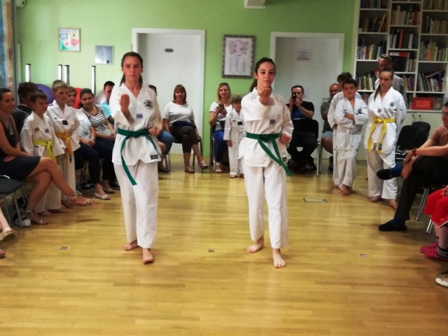 Taekwondo u Srcu