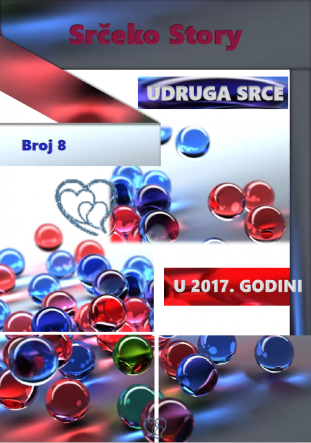 Izvještaj o radu za 2017. godinu